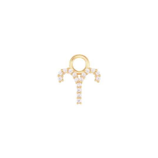 Aries Charm