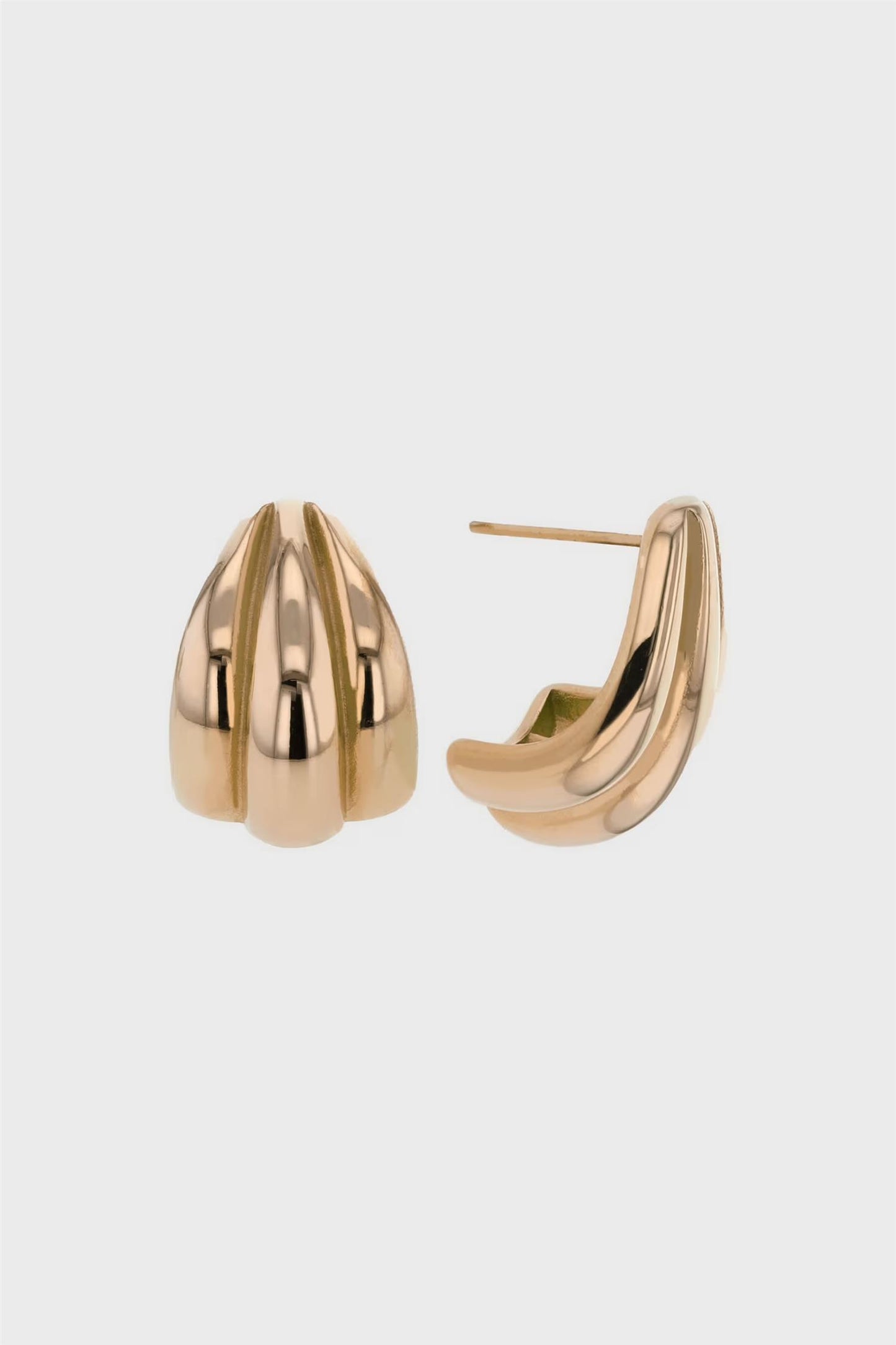 The Coral Earrings