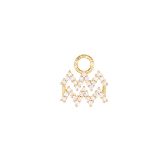 Aquarius Charm