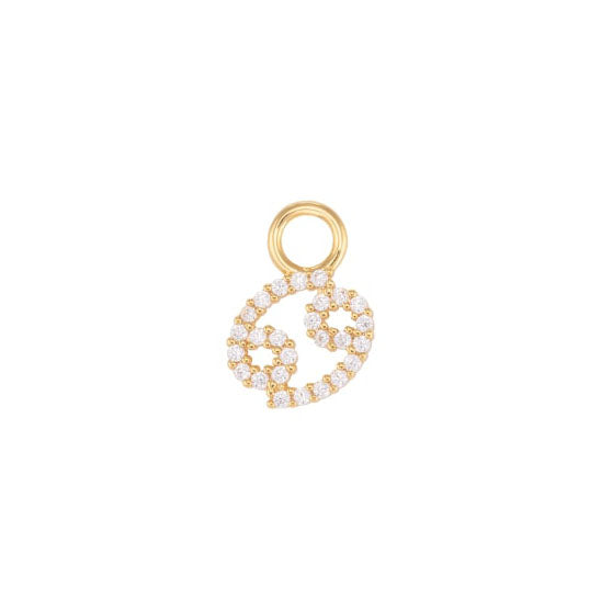 Cancer Charm
