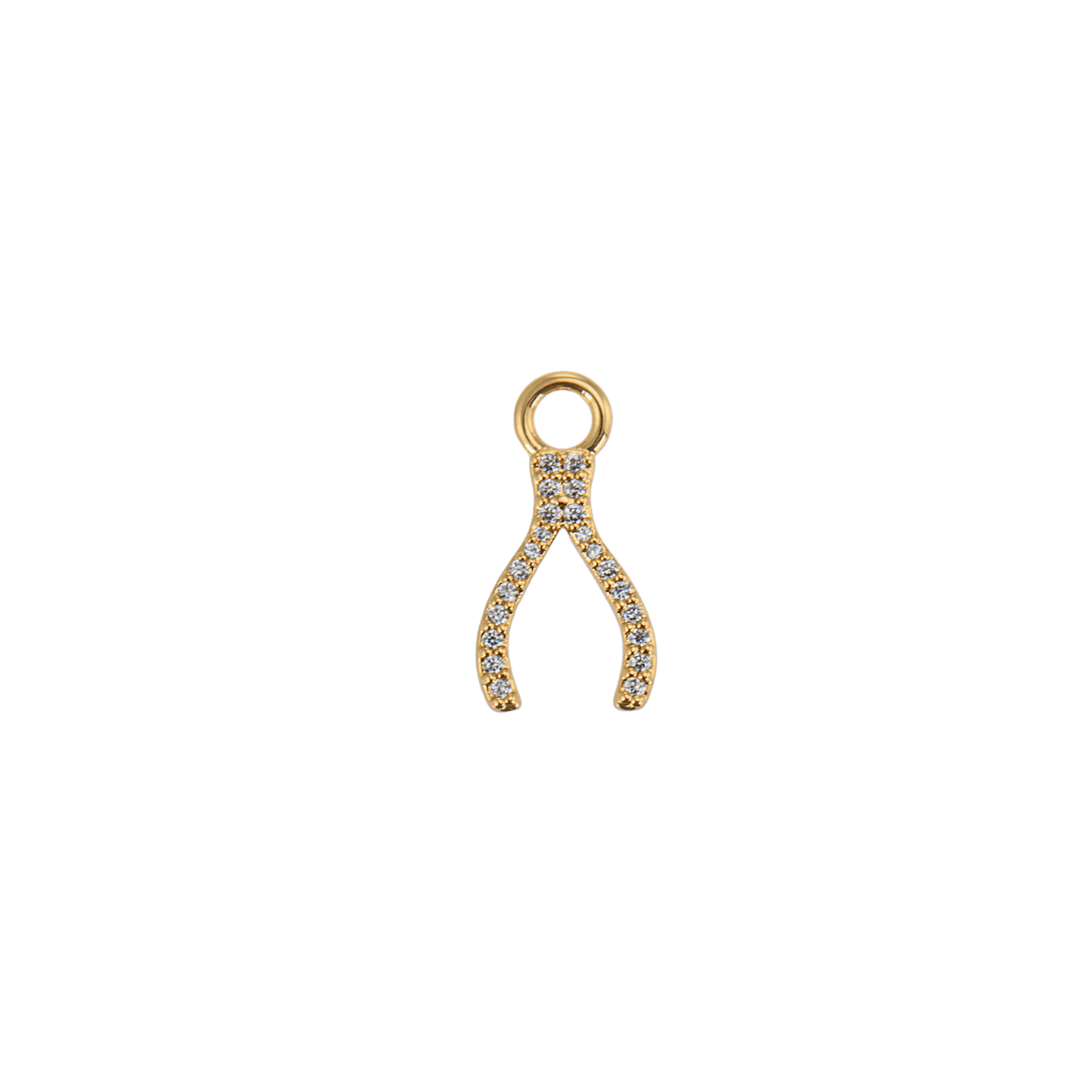 Lisa charm