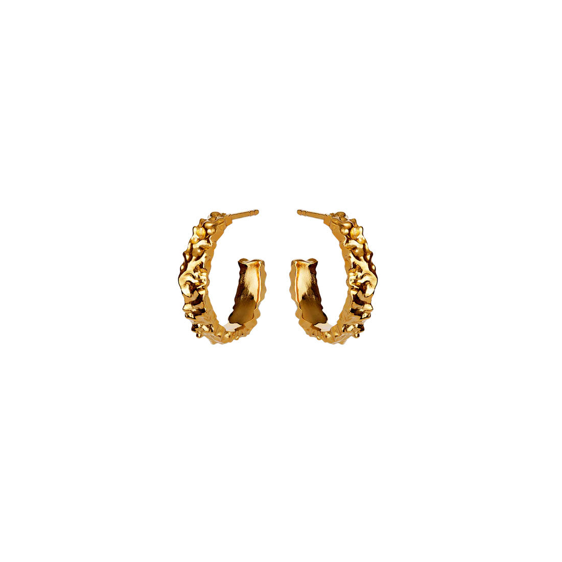 Aio medium earrings