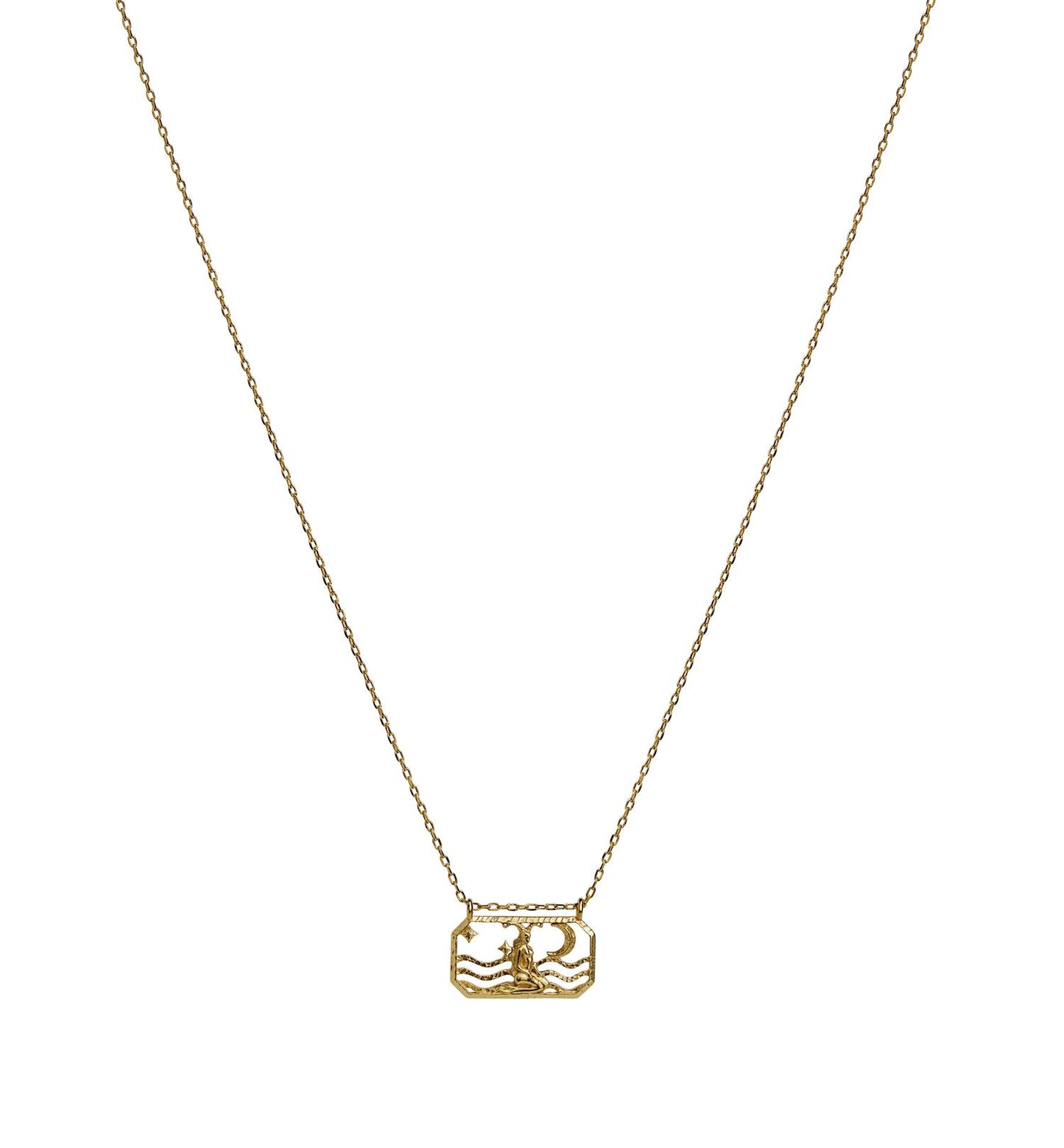 Zodiac Capricorn Necklace (Steinbukk)