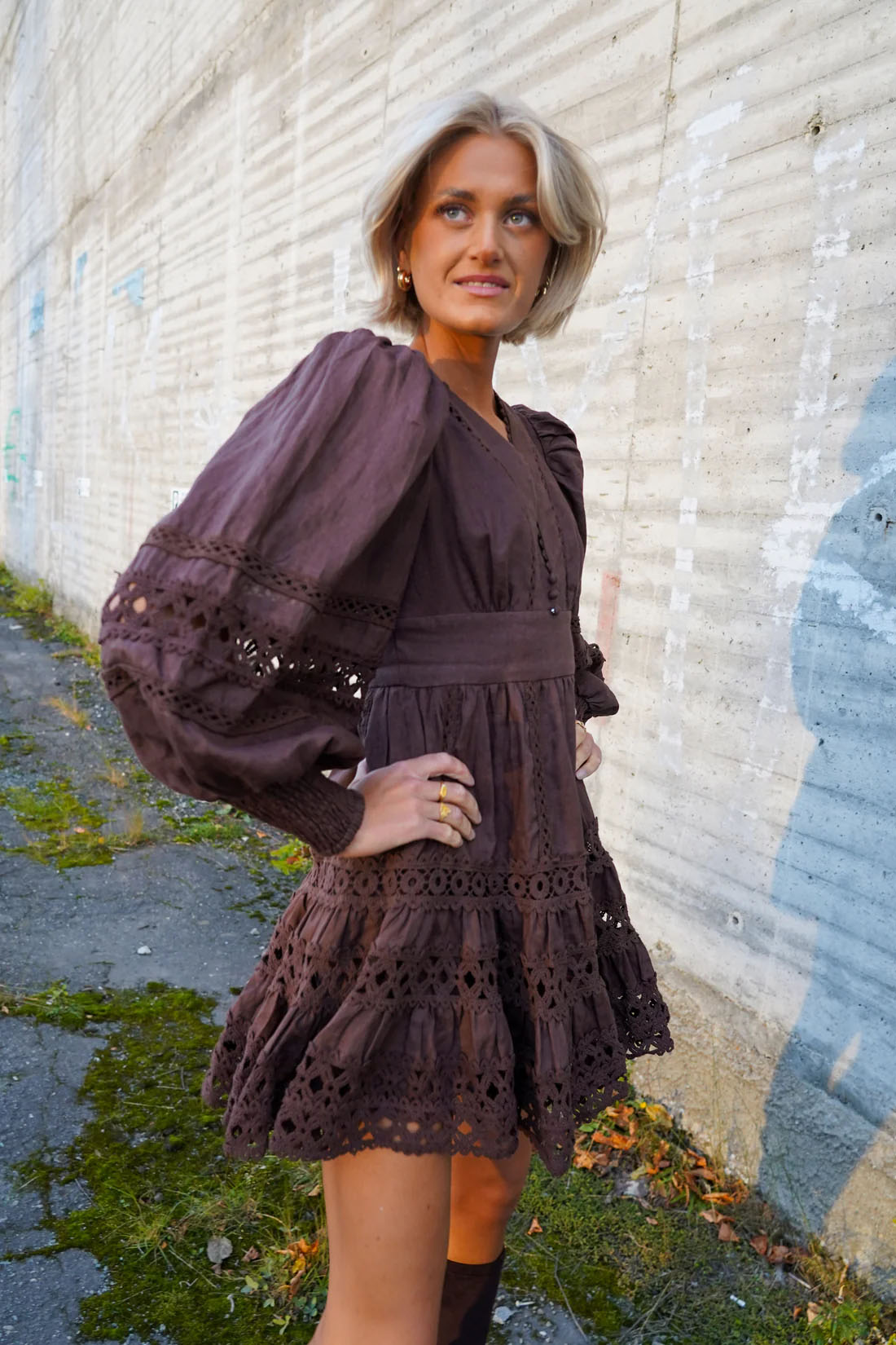 Caspara Dress Brown