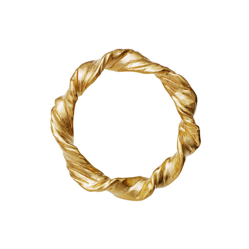 Amy Ring