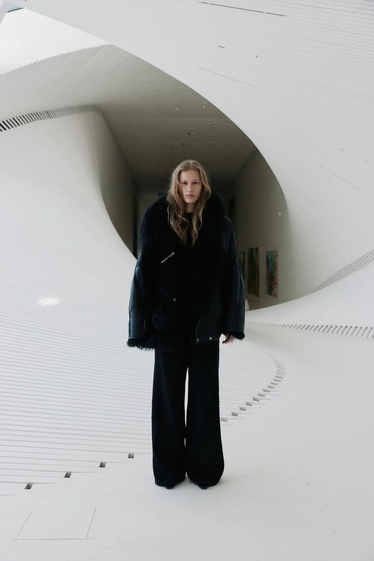 Iceland Jacket Limited - Black