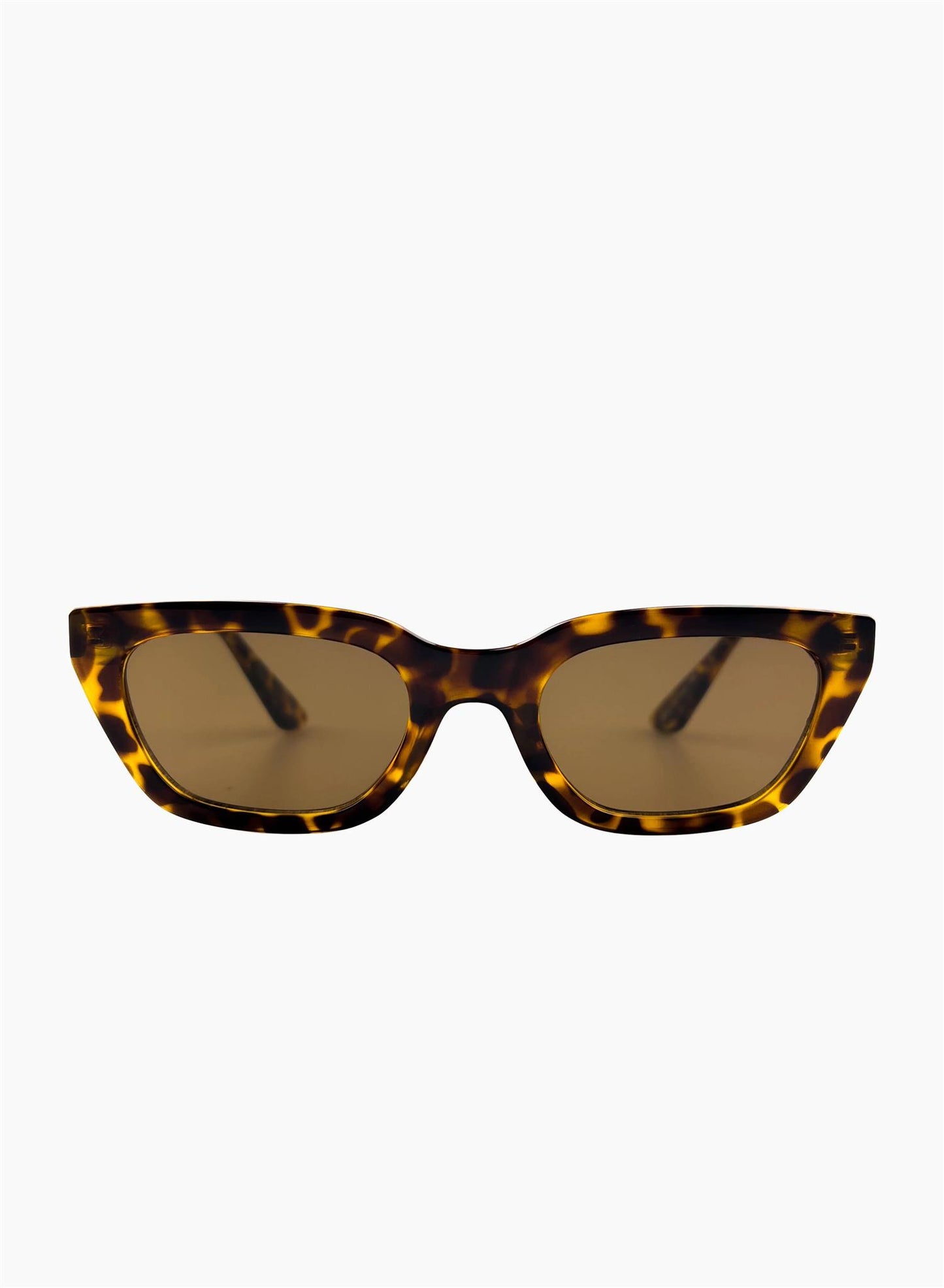 Nove Tort/Brown