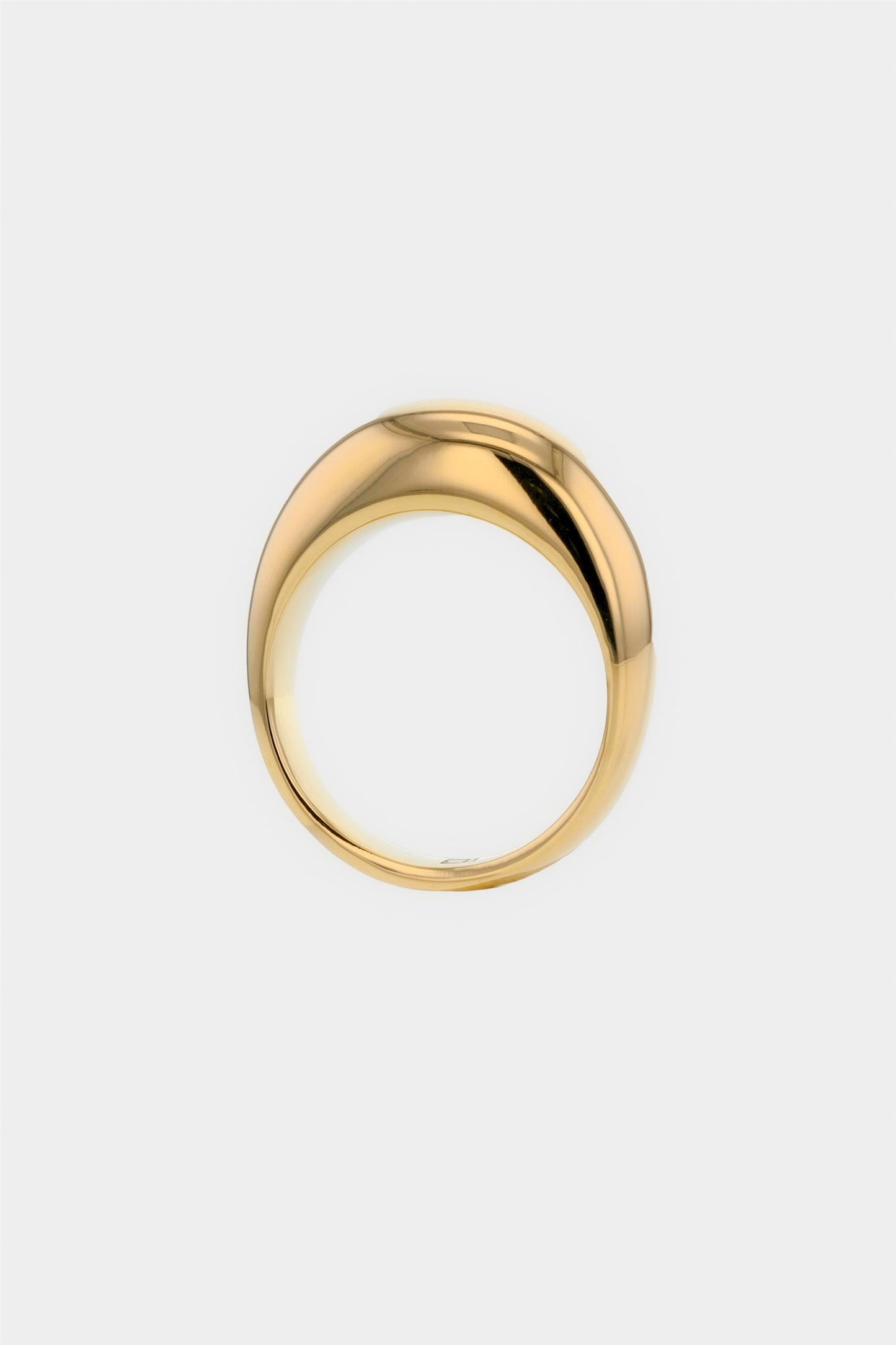 The Shiny Ring Gold